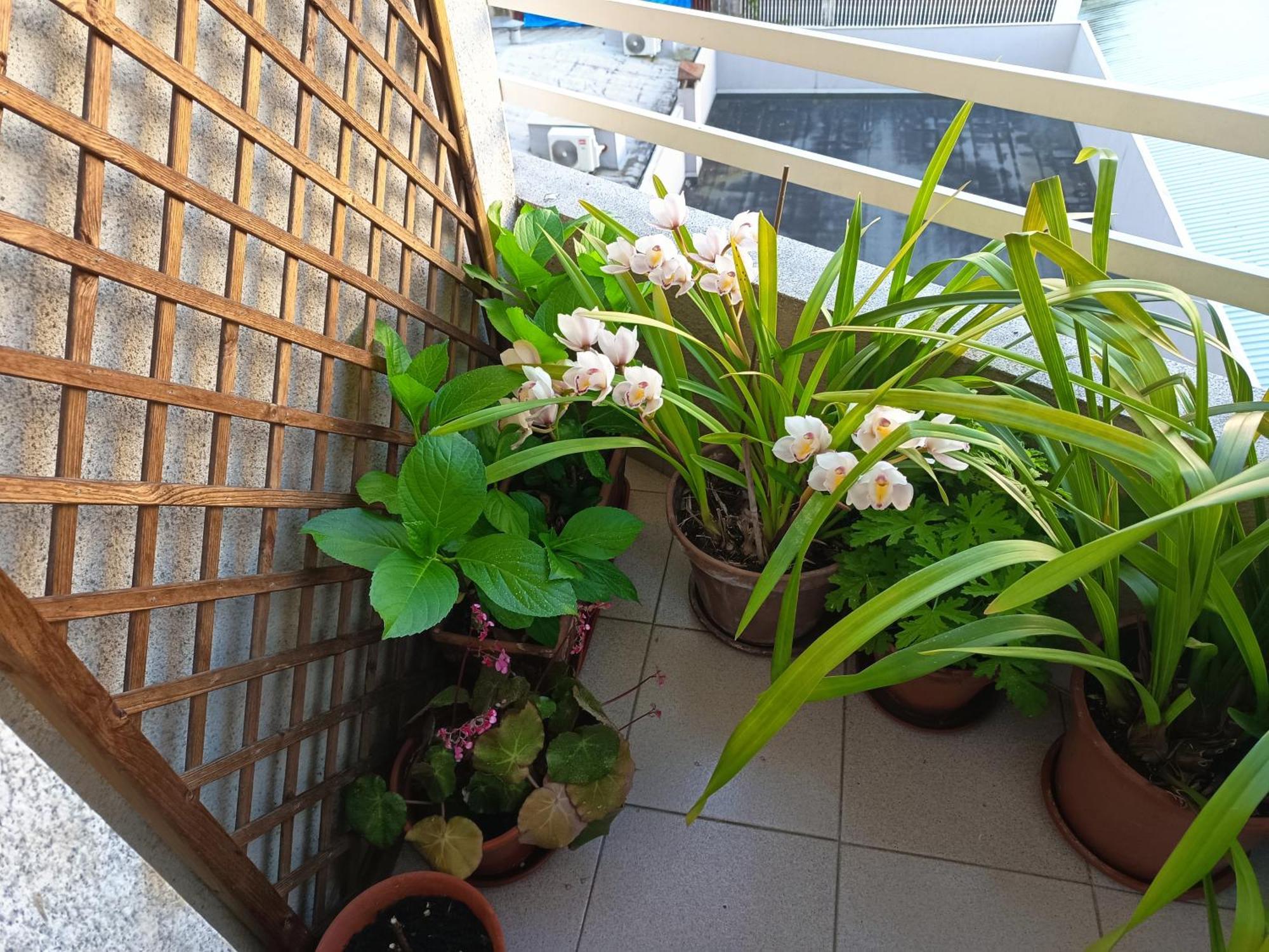 Vivienda Caseiro 奥伦塞 外观 照片
